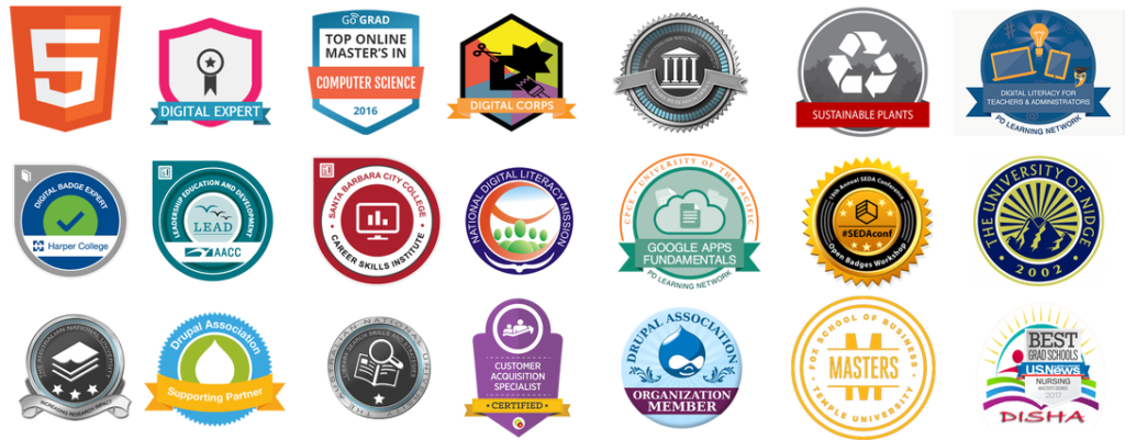 Digital Badges Examples