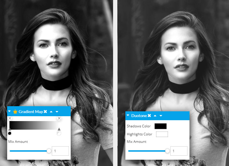 Free Online Photo Filters and Image Effects Editor