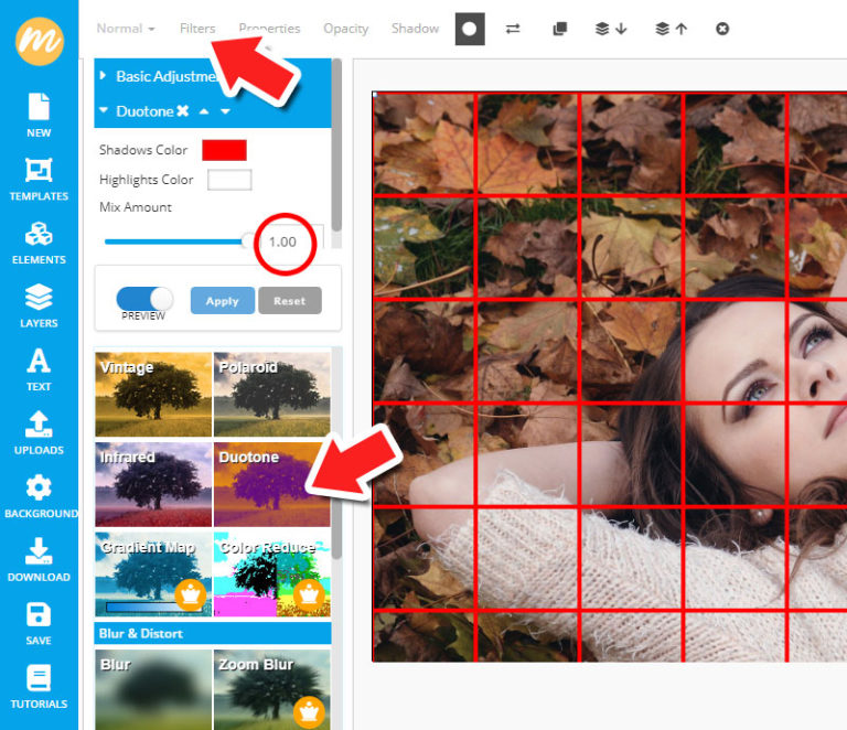 (FREE) Add Grid to Photo Online: 5 Ways to Use Grids Creatively