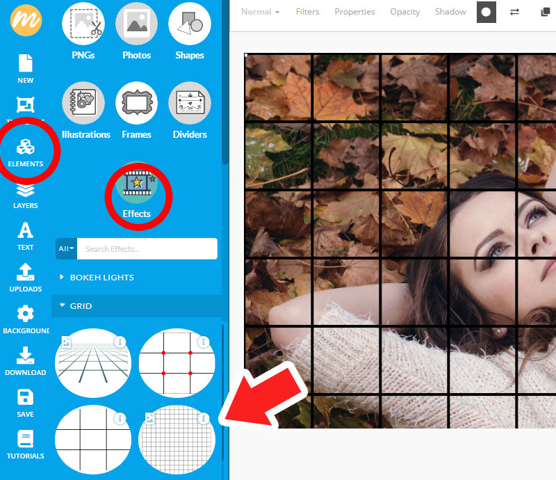 How to Grid a Photo