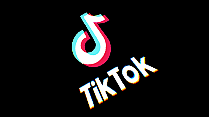 TikTok logo banner transparent PNG  StickPNG