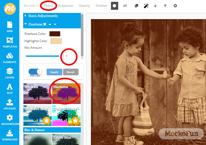 Free Online Photo Filters and Image Effects Editor