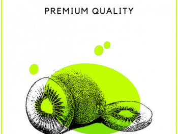 Kiwi Fruit Flyer