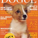 Dogue Magazine