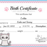 Cat Birth Certificate