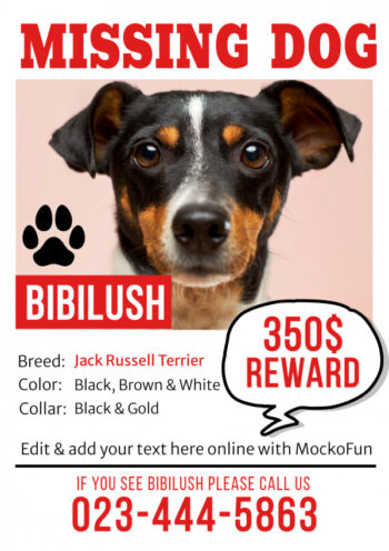 Lost Dog Poster