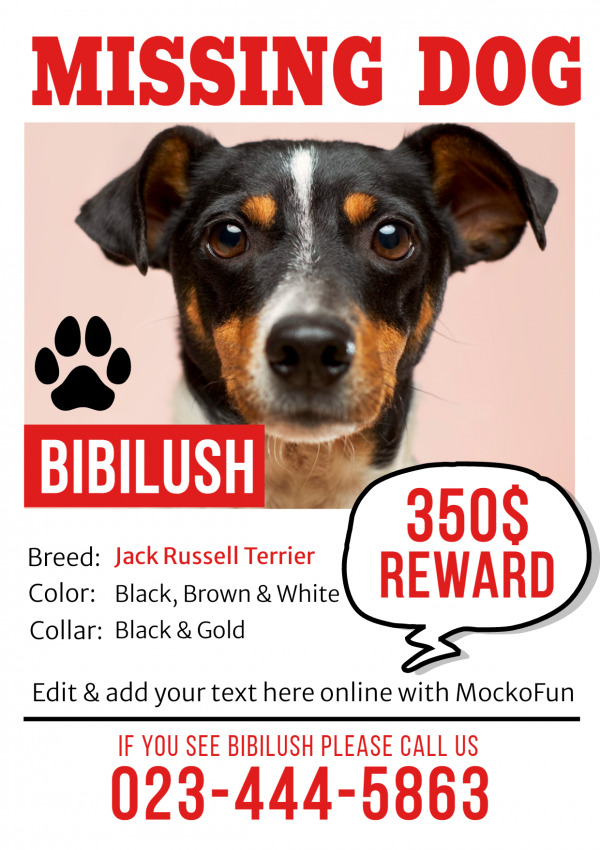 Lost Dog Poster MockoFUN