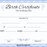 Blank Birth Certificate