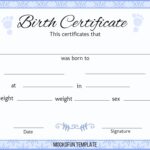 Blank Birth Certificate