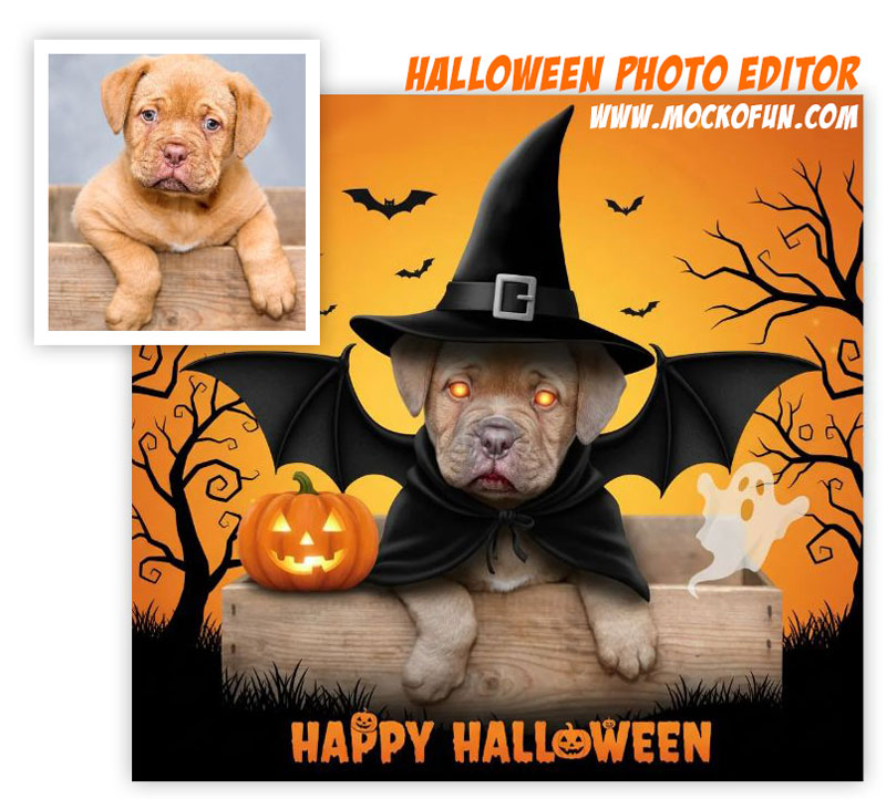 Halloween Photo Edit Halloween Photo Edit