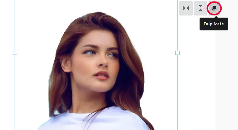 Duplicate Image