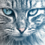 Halftone Effect