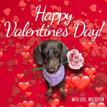 Happy Valentines Day GIF