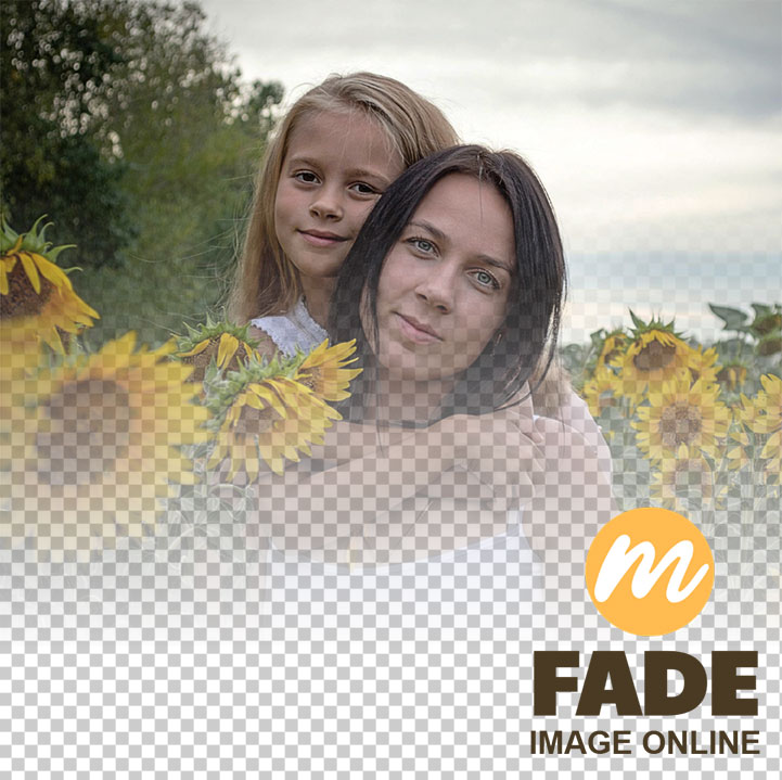 Fade Image Online Fade Image Online