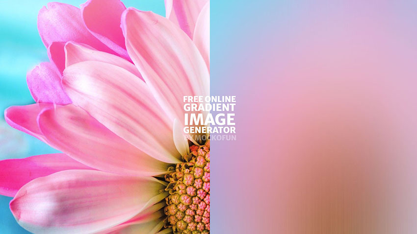 Image Gradient Image Gradient